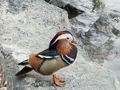 -颐和园