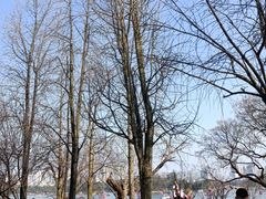 -湖南广播电视台娱乐频道