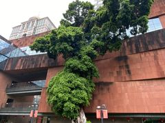 -南越王博物院(王宫展区)