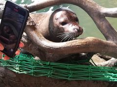 -华夏文旅海洋公园