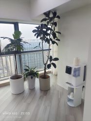 -HEYAN荷妍专业脱毛连锁机构