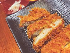 -胜博殿霸王树(嘉里中心店)