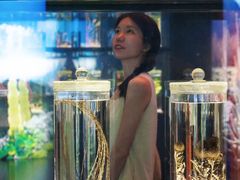 -广东中医药博物馆