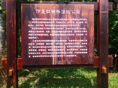 -沙美村
