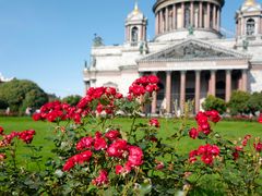 -滴血救世主教堂