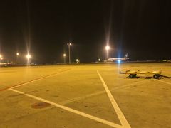 -上海浦东国际机场-T2航站楼