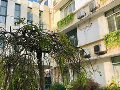 -长风街道长风社区卫生服务中心