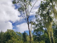 -硗碛藏寨·神木垒景区