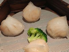 避凤塘虾饺皇-避风塘·老港味餐厅(虹口龙之梦店)