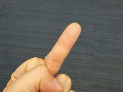 -丽莎蓓甜CAKE生日蛋糕·动物奶油(石家庄店)