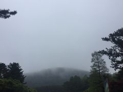 -汉拿树木园
