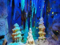 -正佳自然科学博物馆