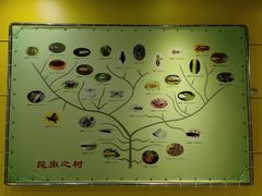 -上海昆虫博物馆