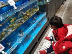 -盒马鲜生(王府广场店)