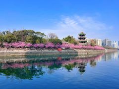 -望江楼公园