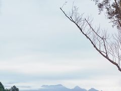 -龙岩森林水乡景区