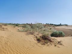 -银肯塔拉沙漠生态旅游景区