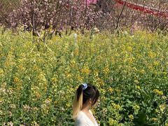 -天适樱花悠乐园