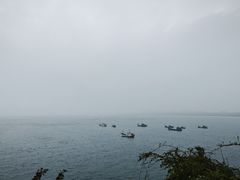 -漳州滨海火山岛自然生态风景区