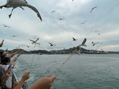 -海驴岛(荣成市)