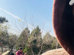 -白水寺森林公园