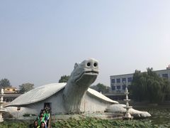-东方巨龟苑景区
