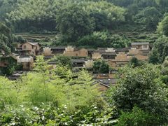 -杨家堂村