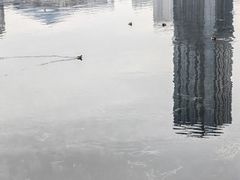 -后襄河公园