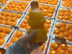 -西归浦每天偶来市场