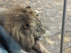 -哈尔滨极地公园