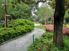 -沙市市中山公园