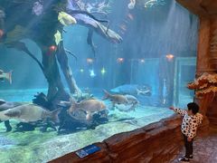 -华夏文旅海洋公园