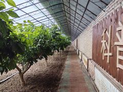 -呀路古热带植物园