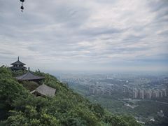 -杭州半山国家森林公园