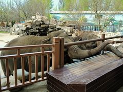 -北京野生动物园