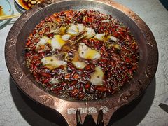 -雲蜀龙阁·金牌水煮鱼(方庄店)