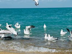 -青海湖国家重点风景名胜区