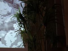 -若水云栖·足疗·按摩·SPA(城阳万达广场店)