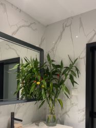 点击看大图 -AiCure 埃可儿·韩国医学皮肤管理