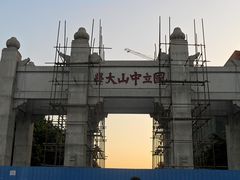 -中山大学学者灵芝(园南路店)