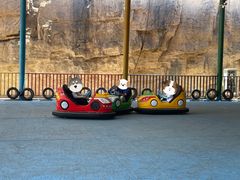 -野三坡刘家河高山漂流