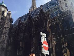 -斯蒂芬主教座堂(Stephansdom)