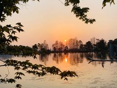 -东湖落雁景区