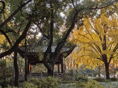 -汇龙潭