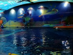 -ABC Swim亲子游泳俱乐部(河西店)