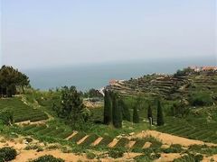 -崂山仰口游览区