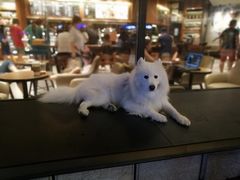 -桂桂茶(金谊广场店)