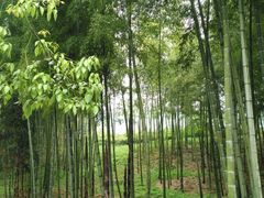 -陶祖圣境风景区