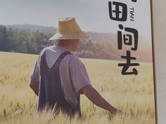 -杨厨的田园饭店(长城路店)
