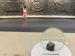 -广东中医药博物馆